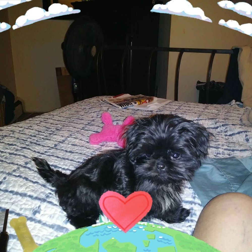 Meet your Posher, Cindy